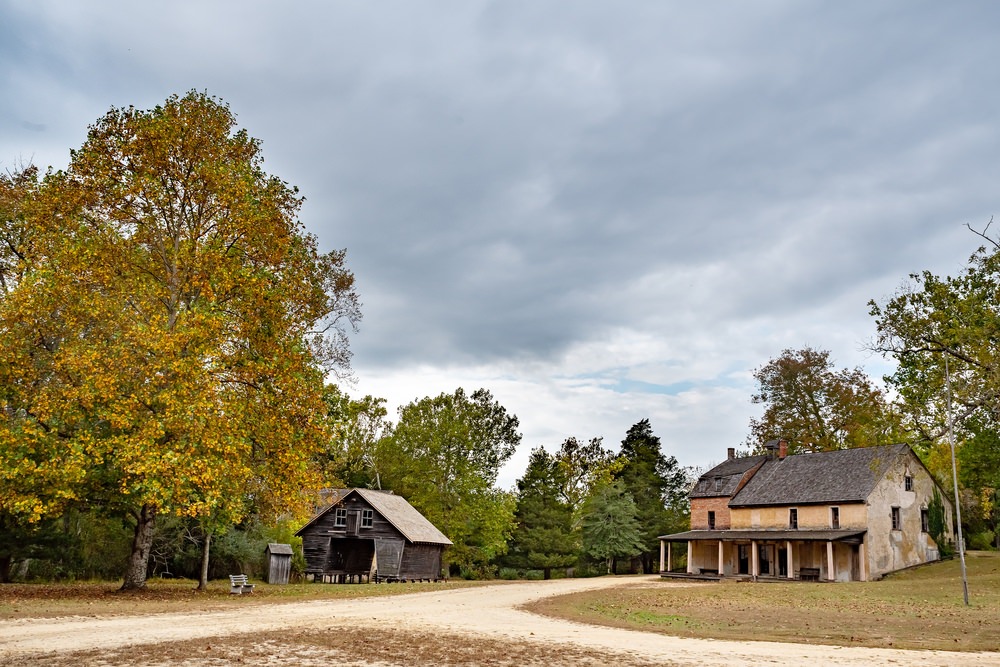 Town in Pine Barrens